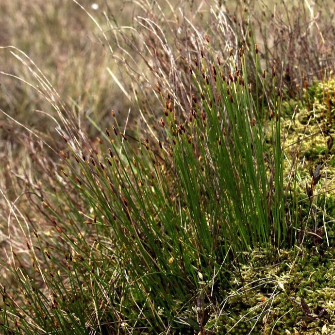 Stacks Image 3085